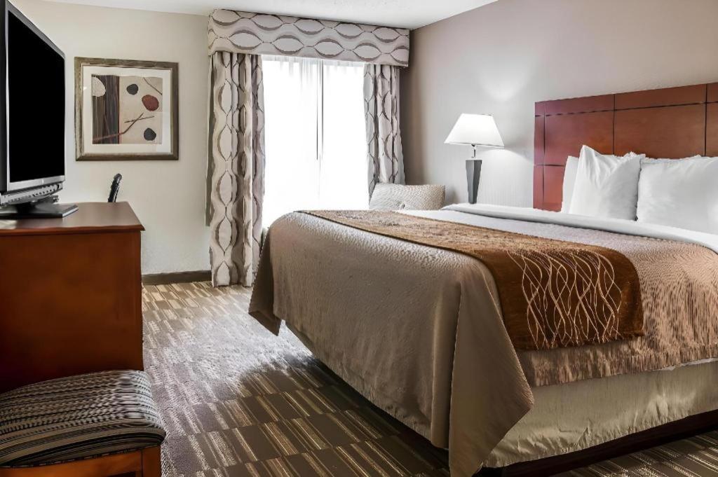 Comfort Inn & Suites University South Ann Arbor Extérieur photo