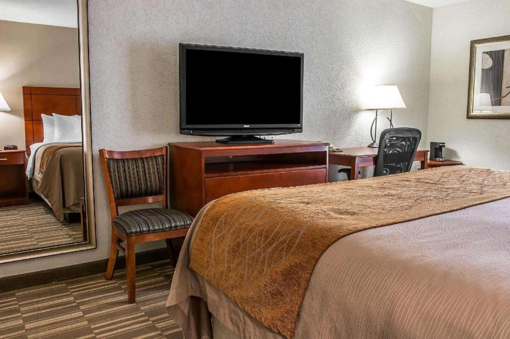 Comfort Inn & Suites University South Ann Arbor Extérieur photo