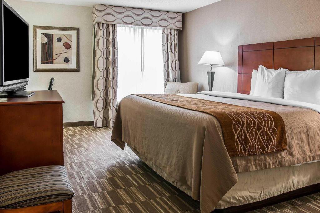 Comfort Inn & Suites University South Ann Arbor Extérieur photo