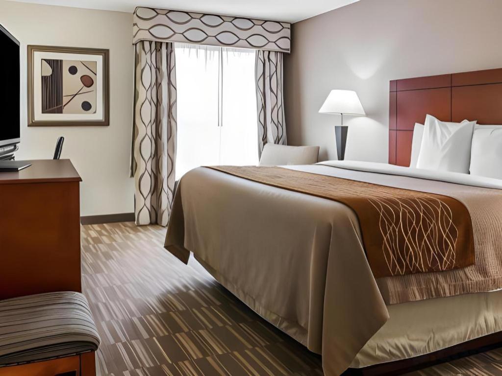 Comfort Inn & Suites University South Ann Arbor Extérieur photo
