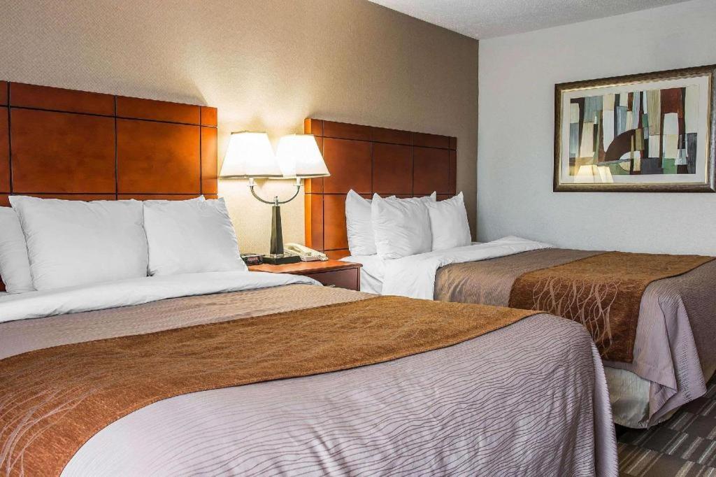 Comfort Inn & Suites University South Ann Arbor Extérieur photo