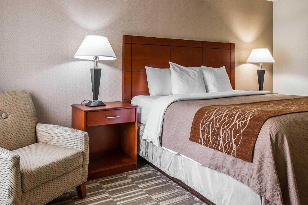 Comfort Inn & Suites University South Ann Arbor Extérieur photo