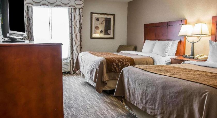Comfort Inn & Suites University South Ann Arbor Extérieur photo