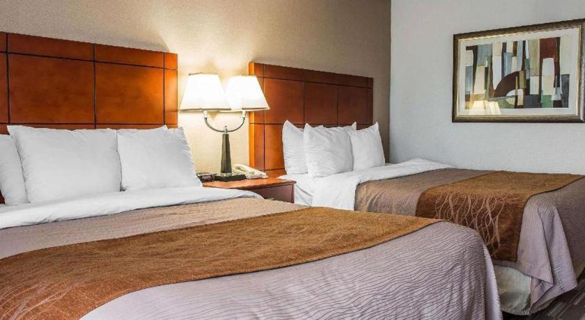Comfort Inn & Suites University South Ann Arbor Extérieur photo