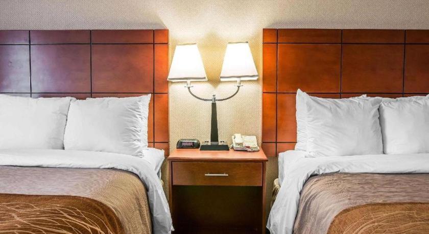 Comfort Inn & Suites University South Ann Arbor Extérieur photo