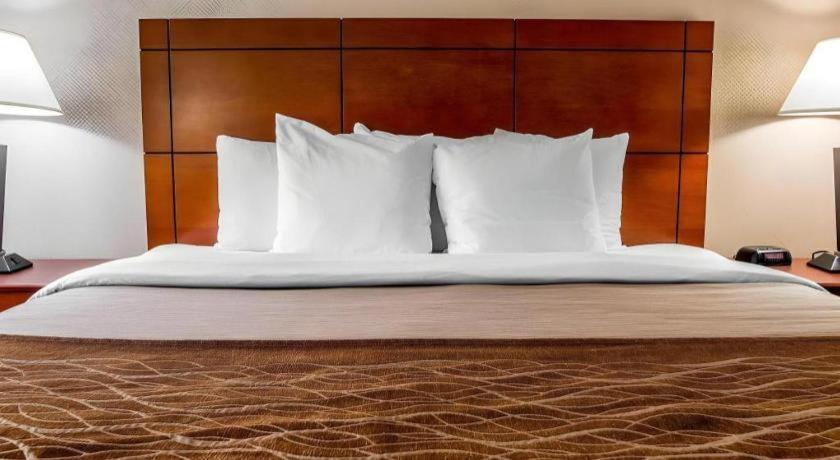 Comfort Inn & Suites University South Ann Arbor Extérieur photo