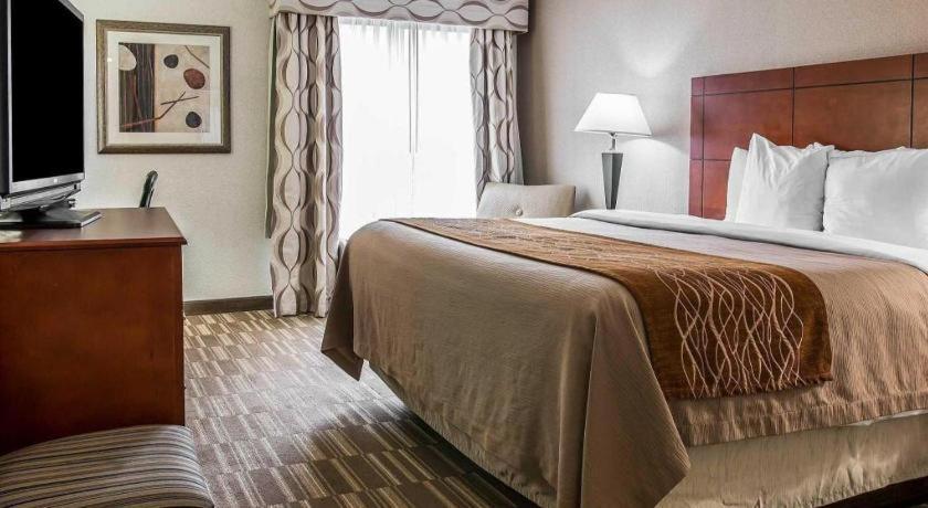 Comfort Inn & Suites University South Ann Arbor Extérieur photo
