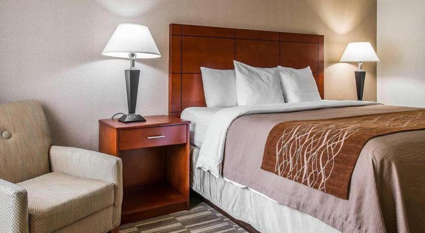 Comfort Inn & Suites University South Ann Arbor Extérieur photo