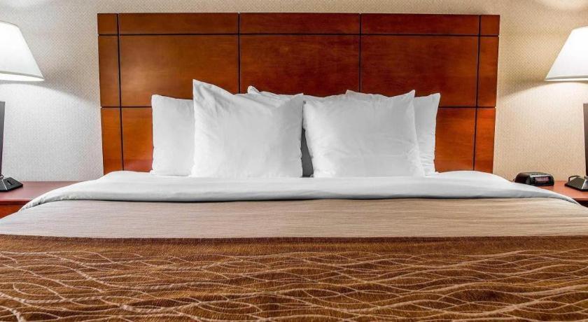 Comfort Inn & Suites University South Ann Arbor Extérieur photo
